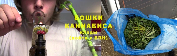 ПСИЛОЦИБИНОВЫЕ ГРИБЫ Осинники