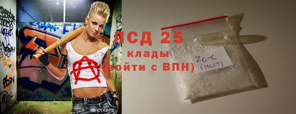 ПСИЛОЦИБИНОВЫЕ ГРИБЫ Осинники