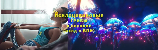 ПСИЛОЦИБИНОВЫЕ ГРИБЫ Осинники
