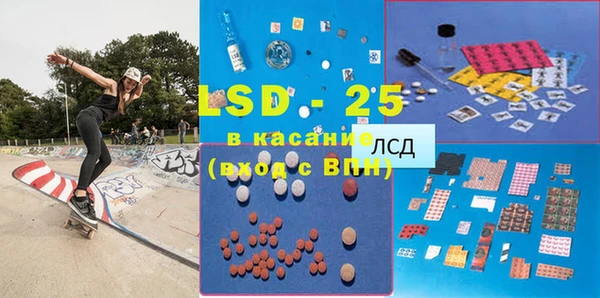 ПСИЛОЦИБИНОВЫЕ ГРИБЫ Осинники