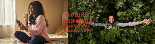 ПСИЛОЦИБИНОВЫЕ ГРИБЫ Осинники