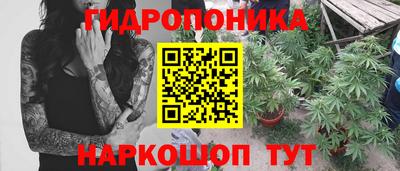 2c-b Будённовск