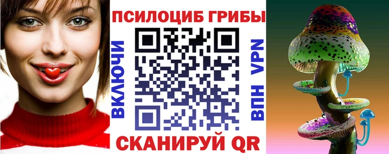 kraken как зайти Мытищи Псилоцибиновые грибы GOLDEN TEACHER