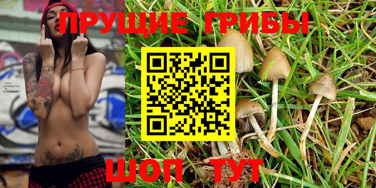 Псилоцибиновые грибы Magic Shrooms  купить   Мытищи 